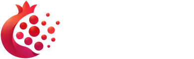石榴粒子
